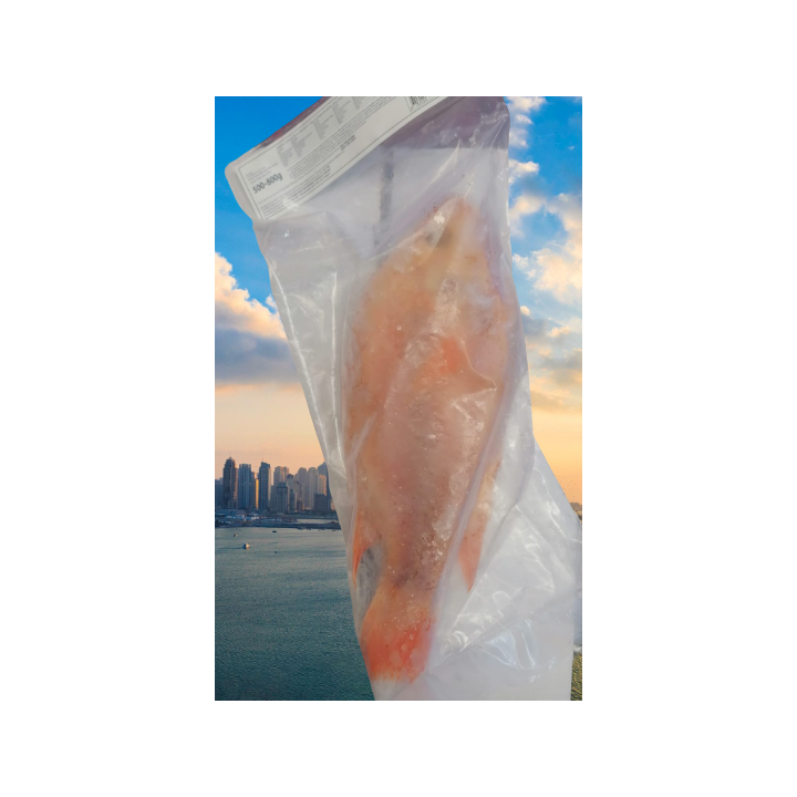 DaySeaDay, Tilapia rot 300-500gr