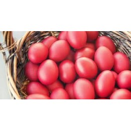 EIER gefärbt - rote Eier