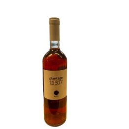Plantage 11317, Jahrgang: 2013 - serbischer Rosewein