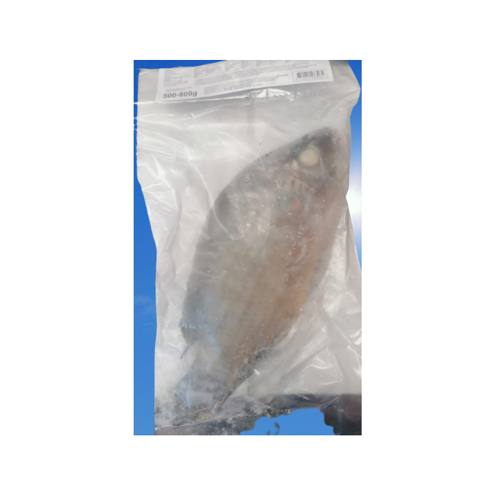 DaySeaDay, Tilapia schwarz 300/500gr