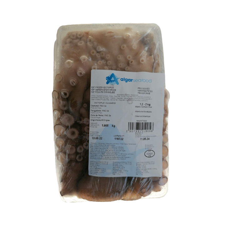 DaySeaDay, Octopus Pulpo 2-3Kg vakuum