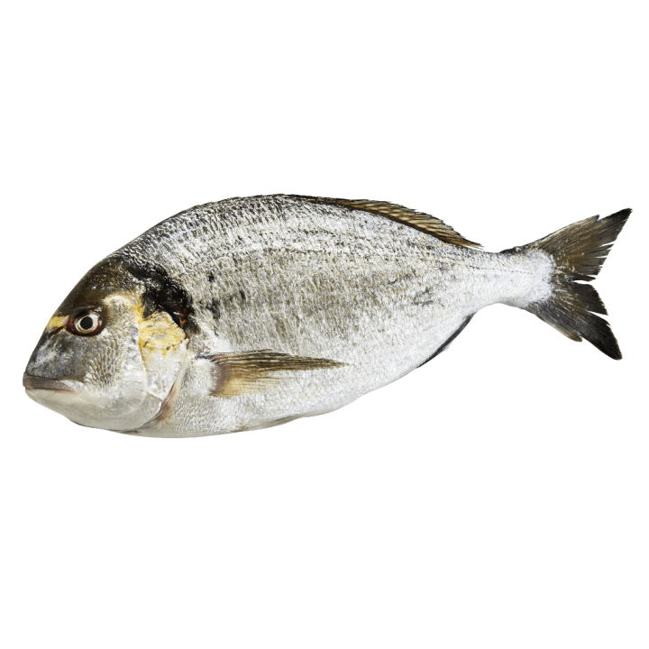 Dorade 900gr (Kg-Preis) - Einzeln (Portugal)