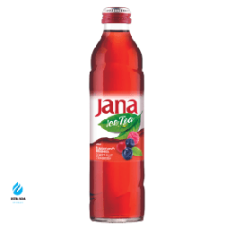 Jana Ice Tea Forest 33cl (Glas)