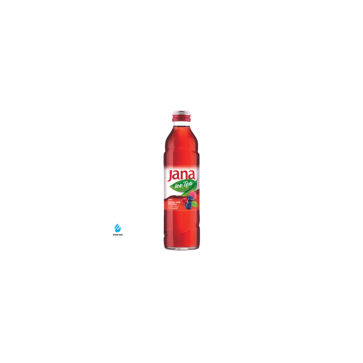 Jana Ice Tea Forest 33cl (Glas)