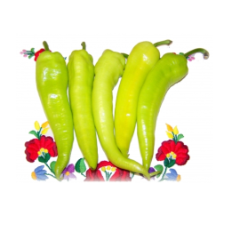 Grüne Paprika Scharf 10Kg Karton