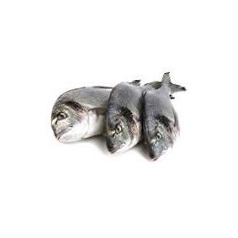 Dorade cong. ca. 900gr (Sack)