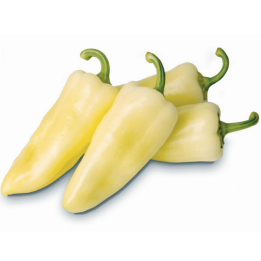 Cecei mild im Sack Ungarn 3Kg