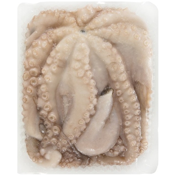 DaySeaDay, (Salgado/King) Octopus ganz 1-2Kg (Kg-Preis)
