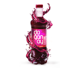 DOGANAY Salgam Aci Randensaft 250ml