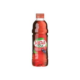 Jana Ice Tea Forest 50cl.